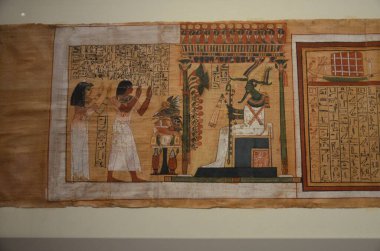 Mısır Torino Müzesi 'nde mumyalar, eserler ve Mısır bulguları sergileniyor.