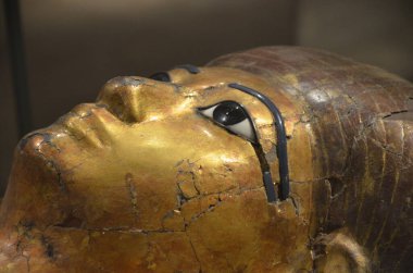 Mısır Torino Müzesi 'nde mumyalar, eserler ve Mısır bulguları sergileniyor.