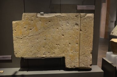 Mısır Torino Müzesi 'nde mumyalar, eserler ve Mısır bulguları sergileniyor.