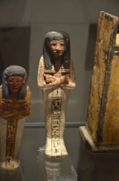 Виставка Мумій Артефактів Єгипетських Знахідок Туринському Музеї Єгипту — стокове фото