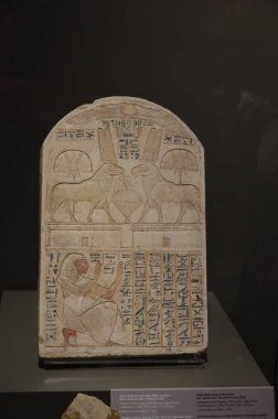 Mısır Torino Müzesi 'nde mumyalar, eserler ve Mısır bulguları sergileniyor.