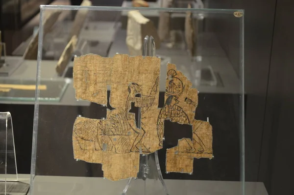 Pameran Mumi Artefak Dan Temuan Mesir Museum Mesir Turin — Stok Foto