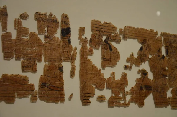 Múmiák Leletek Egyiptomi Leletek Kiállítása Torinói Egyiptomi Múzeumban — Stock Fotó