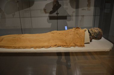 Mısır Torino Müzesi 'nde mumyalar, eserler ve Mısır bulguları sergileniyor.