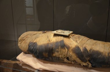 Mısır Torino Müzesi 'nde mumyalar, eserler ve Mısır bulguları sergileniyor.