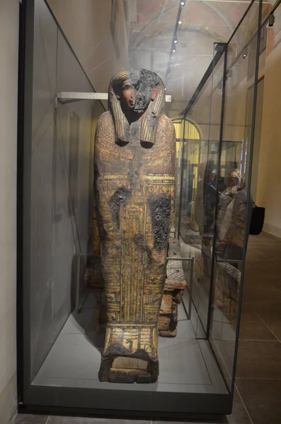 Mostra Mummie Manufatti Reperti Egizi Museo Egizio Torino — Foto Stock