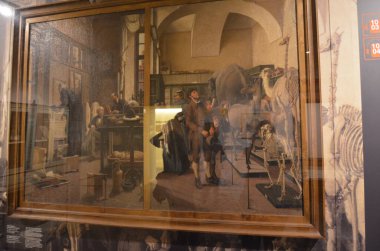 Mısır Torino Müzesi 'nde mumyalar, eserler ve Mısır bulguları sergileniyor.