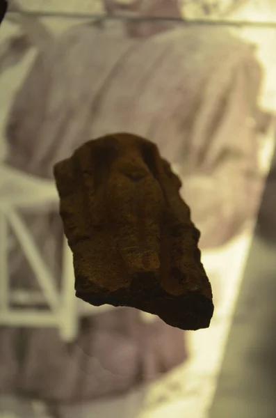Múmiák Leletek Egyiptomi Leletek Kiállítása Torinói Egyiptomi Múzeumban — Stock Fotó