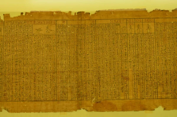 Utstilling Mumier Gjenstander Egyptiske Funn Ved Det Egyptiske Museet Torino – stockfoto