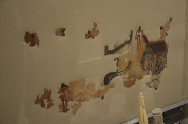 Mısır Torino Müzesi 'nde mumyalar, eserler ve Mısır bulguları sergileniyor.