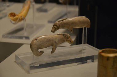 Mısır Torino Müzesi 'nde mumyalar, eserler ve Mısır bulguları sergileniyor.