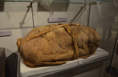 Mısır Torino Müzesi 'nde mumyalar, eserler ve Mısır bulguları sergileniyor.