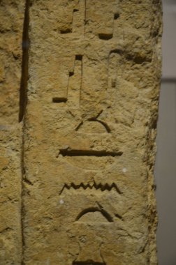 Mısır Torino Müzesi 'nde mumyalar, eserler ve Mısır bulguları sergileniyor.