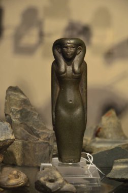 Mısır Torino Müzesi 'nde mumyalar, eserler ve Mısır bulguları sergileniyor.