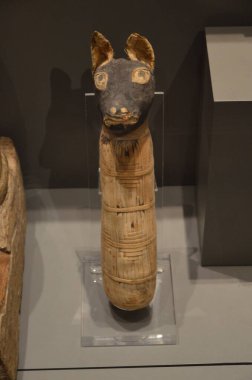 Mısır Torino Müzesi 'nde mumyalar, eserler ve Mısır bulguları sergileniyor.