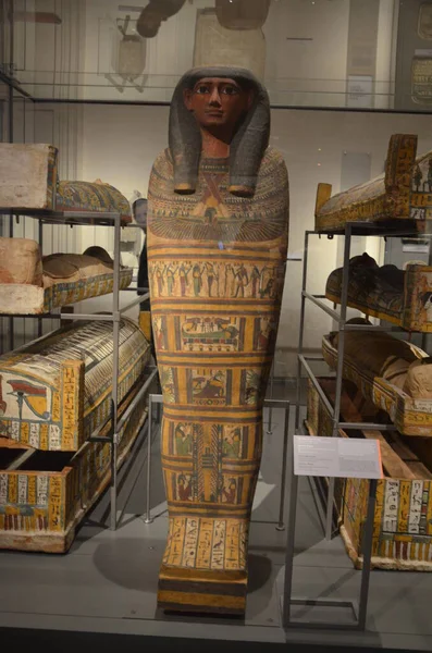 Exhibition Mummies Artifacts Egyptian Finds Egyptian Museum Turin — Stock Photo, Image