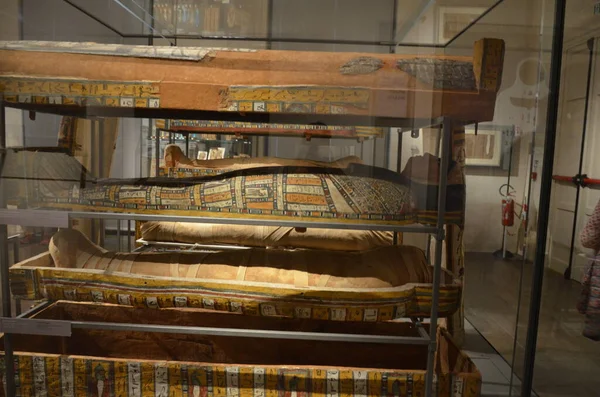 Exposición Momias Artefactos Hallazgos Egipcios Museo Egipcio Turín — Foto de Stock