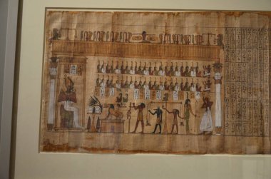 Mısır Torino Müzesi 'nde mumyalar, eserler ve Mısır bulguları sergileniyor.