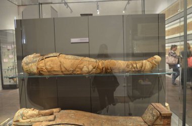 Mısır Torino Müzesi 'nde mumyalar, eserler ve Mısır bulguları sergileniyor.