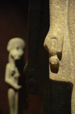 Mısır Torino Müzesi 'nde mumyalar, eserler ve Mısır bulguları sergileniyor.