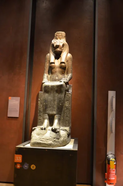 Виставка Мумій Артефактів Єгипетських Знахідок Туринському Музеї Єгипту — стокове фото