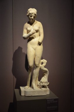  Palazzo Mona, Piazza Castello, Torin 'in içi.)