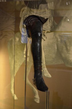 Muhteşem Kraliyet Sarayı, Torino 'nun içi.