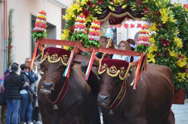 Sant 'Antioco, Sardunya Dini Töreni