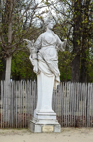 Dagsutsikt Över Jardin Des Tuileries Trädgård Paris — Stockfoto