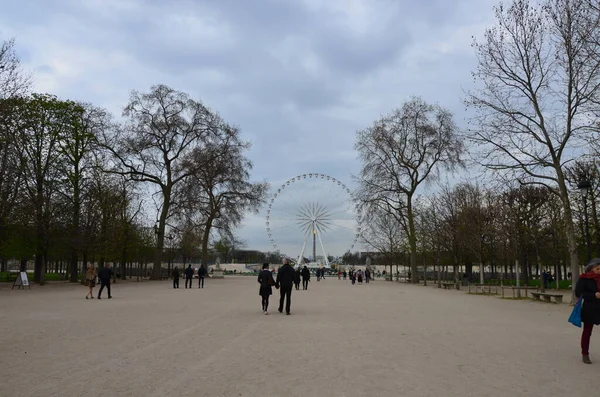 Vista Del Jardín Las Tullerías París —  Fotos de Stock