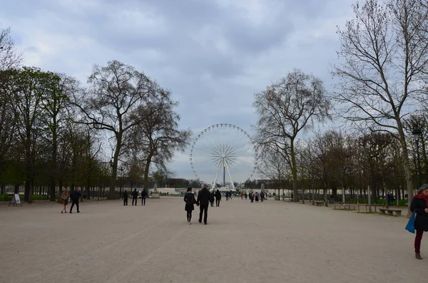 Ημερήσια Προβολή Του Κήπου Jardin Des Tuileries Παρίσι — Φωτογραφία Αρχείου