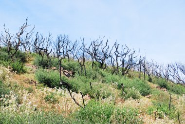 Sant'Antioco, Sardunya
