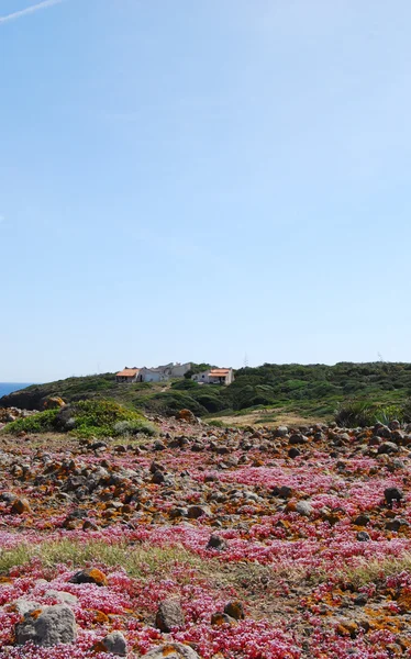 Sant'Antioco, Sardegna — Foto Stock