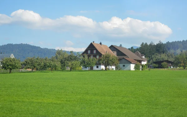 Alp Dağları manzarası ile evler — Stok fotoğraf