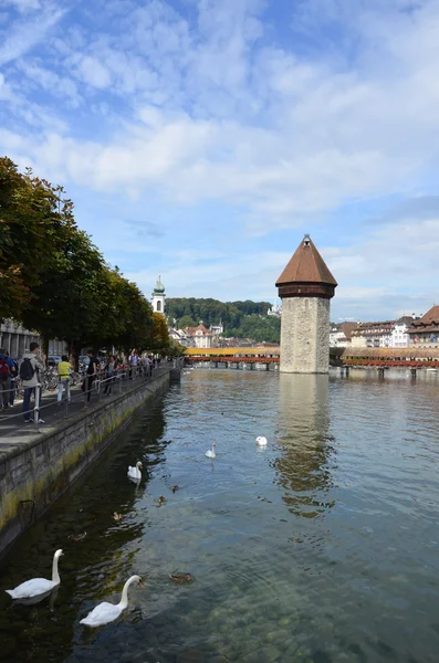 Puente de la Capilla en Lucerna, Suiza —  Fotos de Stock