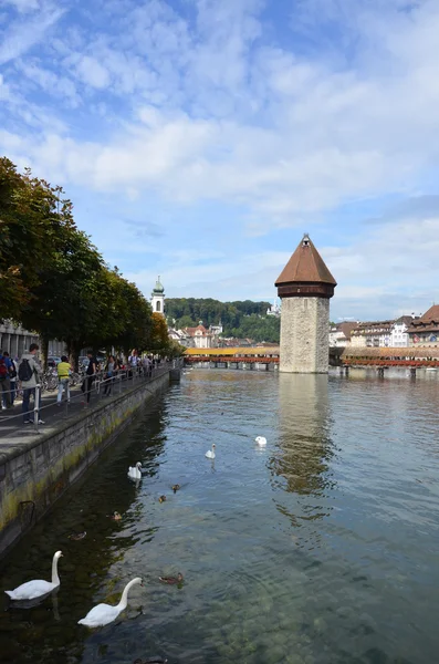 Puente de la Capilla en Lucerna, Suiza —  Fotos de Stock