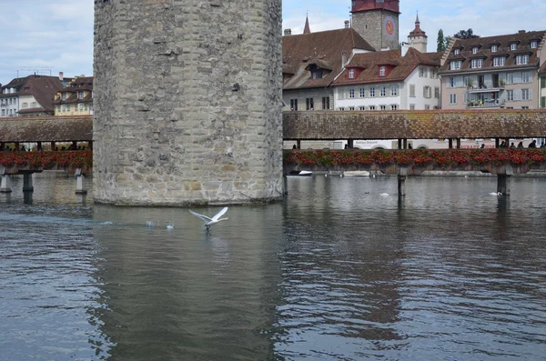 Chapel Bridge, Lucerne, Sveitsi — kuvapankkivalokuva