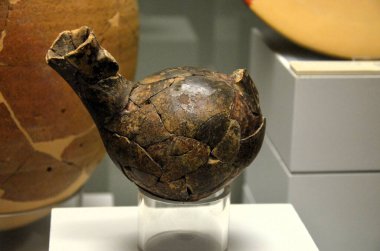 Cadiz, İspanya 03.26.2019: İl Arkeoloji Müzesi.