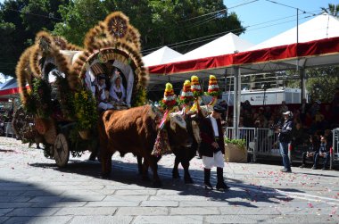 Cagliari, Sardunya 05.01.2019: Aziz Efisio dini geçit töreni