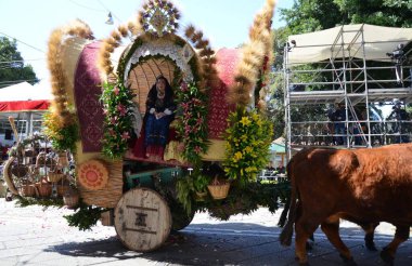 Cagliari, Sardunya 05.01.2019: Aziz Efisio dini geçit töreni