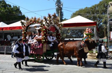 Cagliari, Sardunya 05.01.2019: Aziz Efisio dini geçit töreni