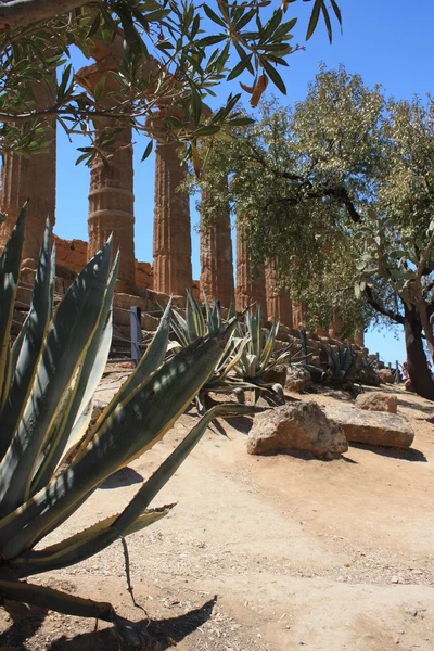 Kurtlar Vadisi Tapınak, Agrigento, Sicilya, İtalya