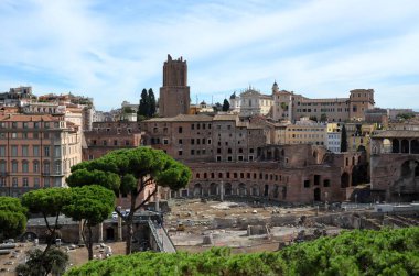 Roma, İtalya 09.02.2019: Roma Forumunun Antik Harabeleri