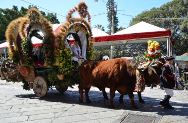 Cagliari, Sardunya 05.01.2019: Aziz Efisio dini geçit töreni