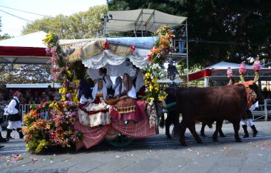 Cagliari, Sardunya 05.01.2019: Aziz Efisio dini geçit töreni