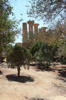 Kurtlar Vadisi Tapınak, Agrigento, Sicilya, İtalya