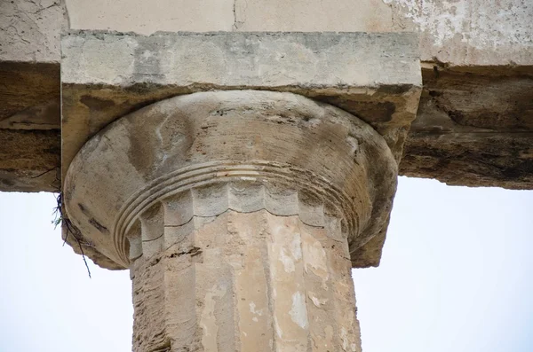 Griekse tempel in selinunte — Stockfoto