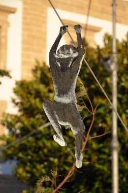 bir ipte sallanan elf