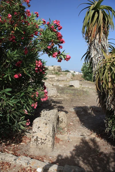 Archeologische terrein van selinunte in Sicilië — Stockfoto