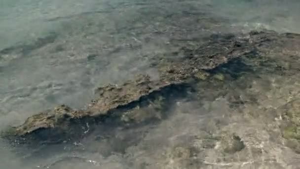 Video av fantastisk klarblå vattnet i Karibien — Stockvideo
